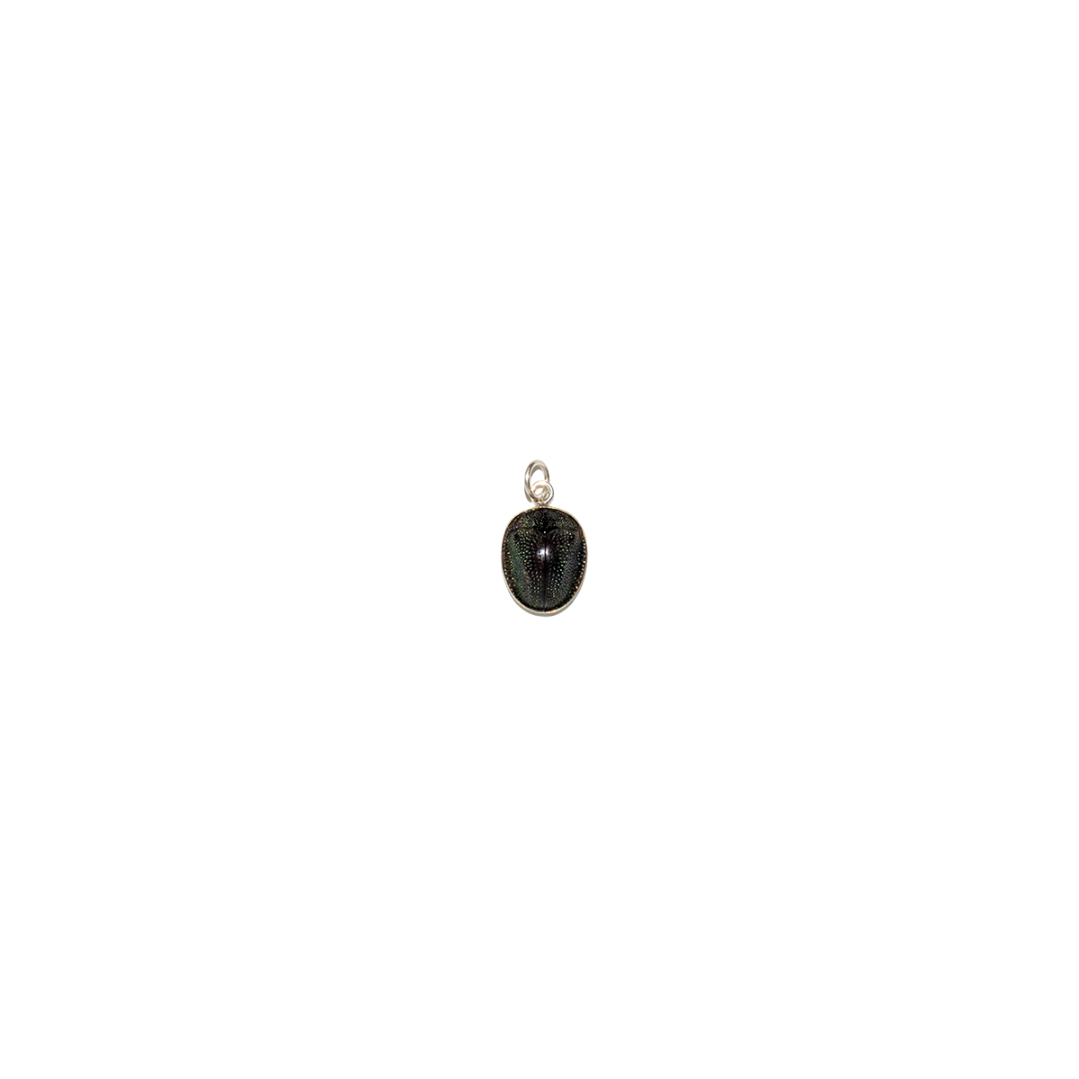 Victorian Genuine Beetle Sterling Silver Charm