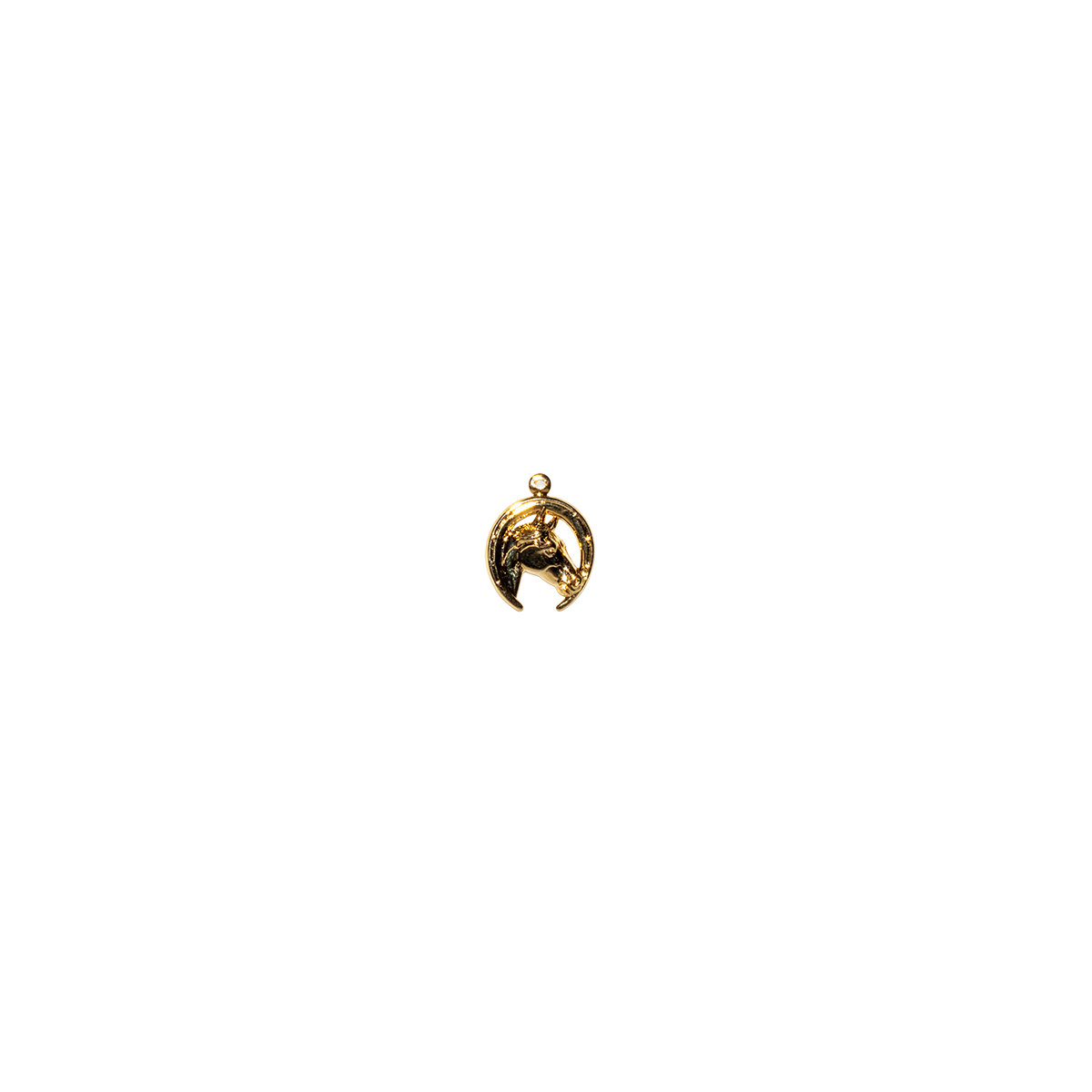 Gold Horse & Horseshoe Charm