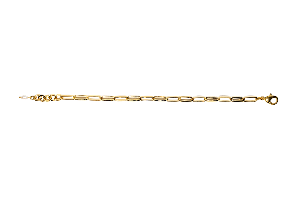 Large Paperclip Chain