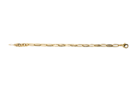 Large Paperclip Chain
