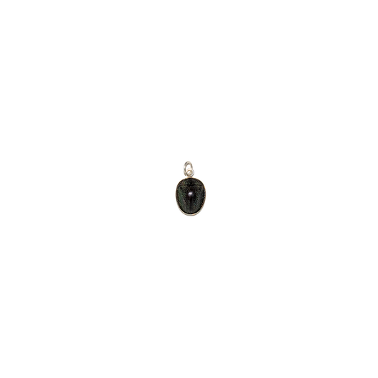 Victorian Genuine Beetle Sterling Silver Charm