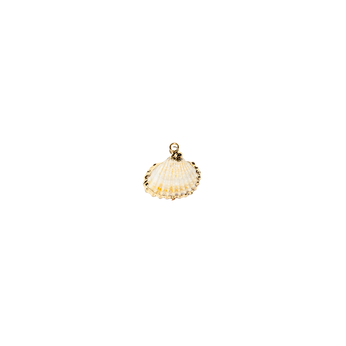 Gold-Edged Genuine Shell Charm