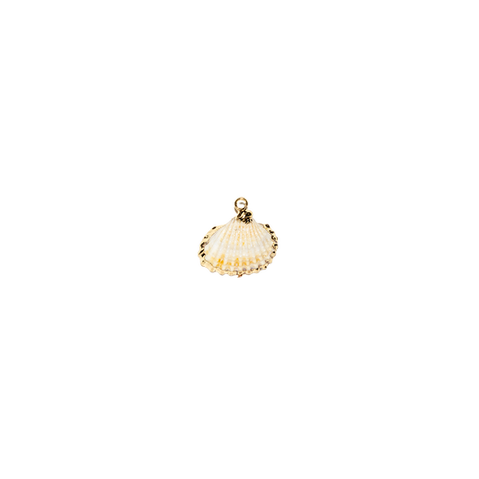 Gold-Edged Genuine Shell Charm