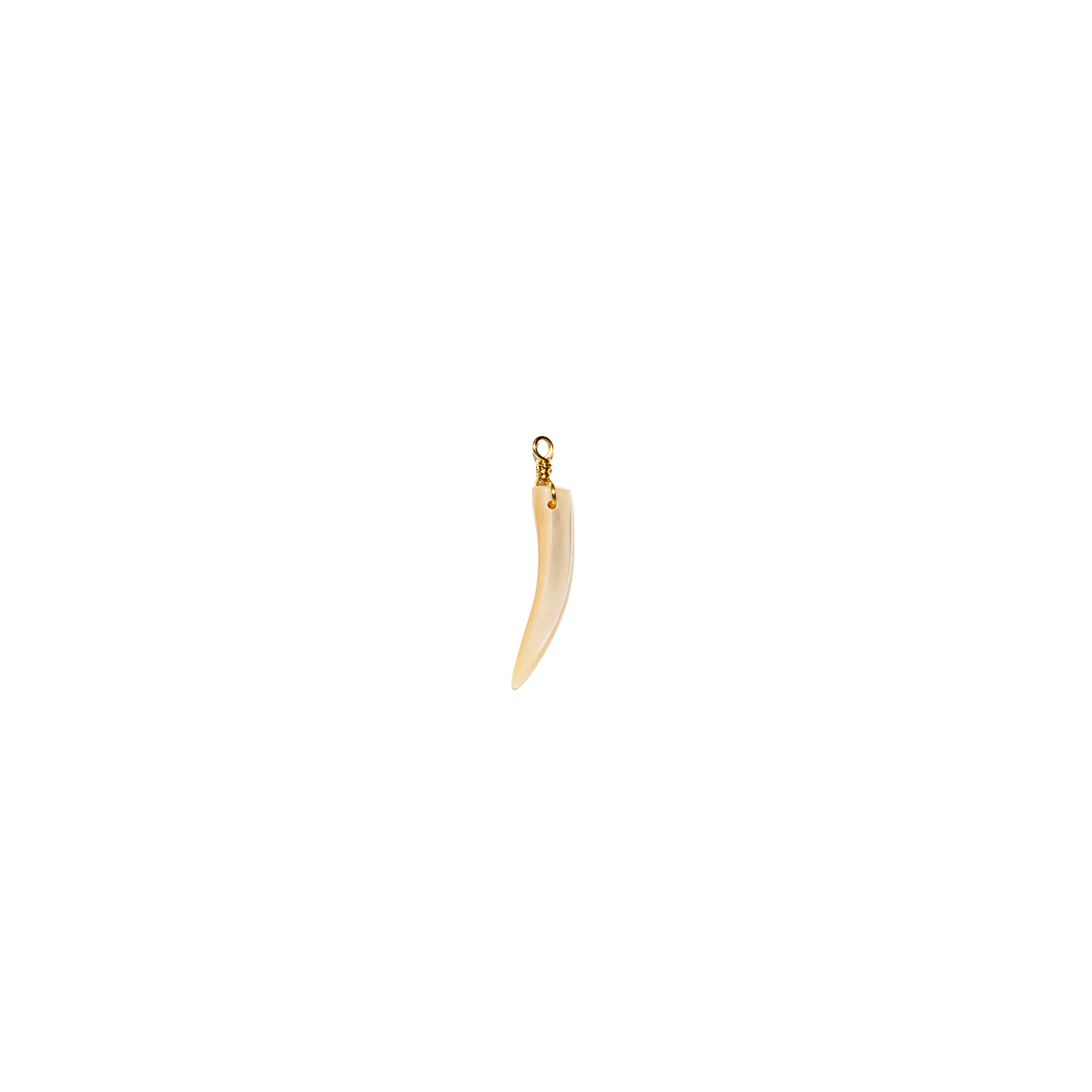 Wire-Wrapped Mother-of-Pearl Horn Charm
